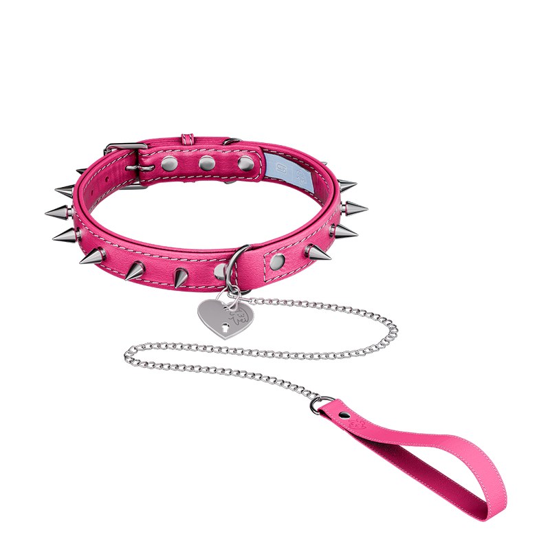 Vei: Snax Spiked Dog Collar + Leash - Gamer Supps